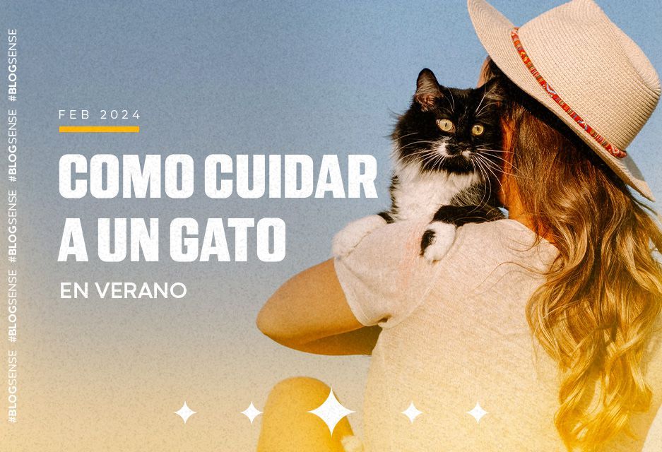 Cómo cuidar un gato en verano